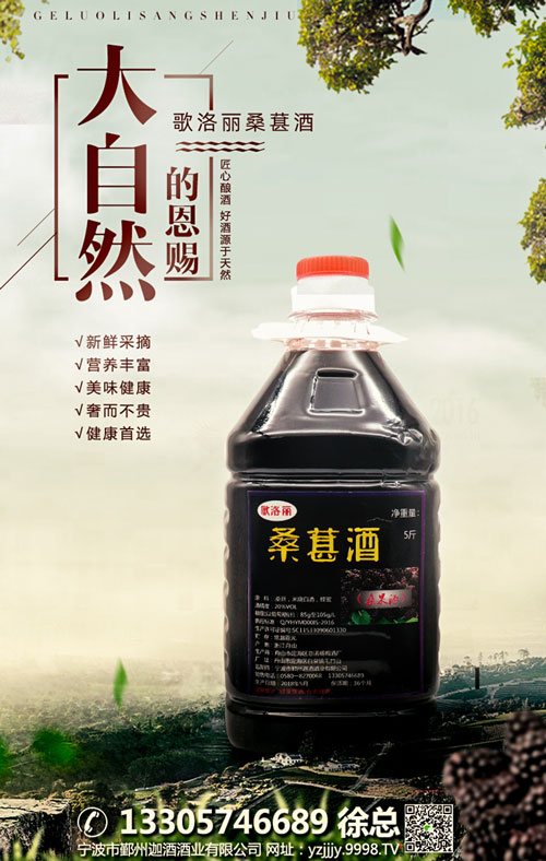 中秋送礼,选择哥歌桑葚酒,营养又健康!